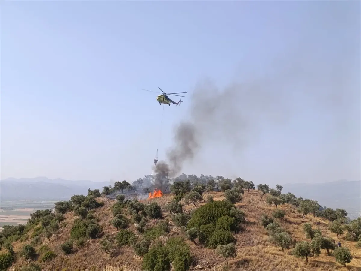 aydinda-zeytinlik-alanda-yangin-30-dekar-ziyan-gordu-v4WDw6Px.jpg