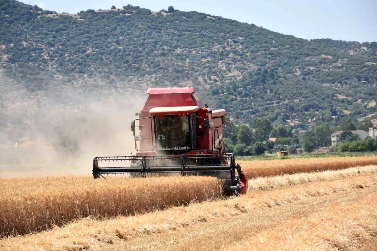 kuraklik-tarim-uzerinde-olumsuz-tesir-yaratiyor-gef6t4Ls.jpg