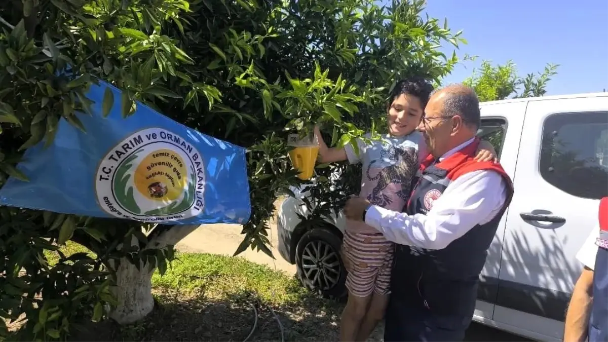 aydinda-narenciye-ureticilerine-12-bin-500-tuzak-teslim-edildi-i2NTgTsc.jpg