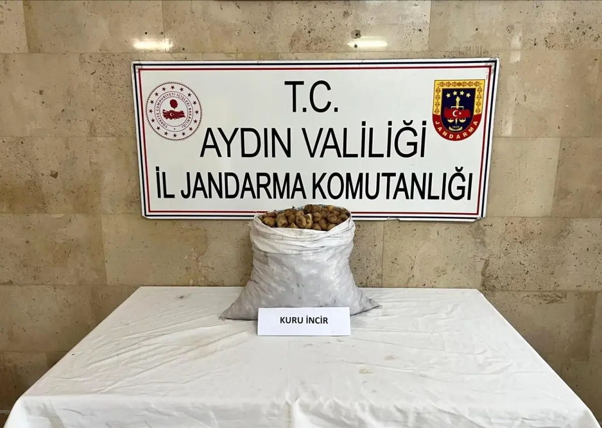 aydinda-motosikletle-50-kilo-incir-calan-sahis-yakalandi-C5Pyc7hG.jpg