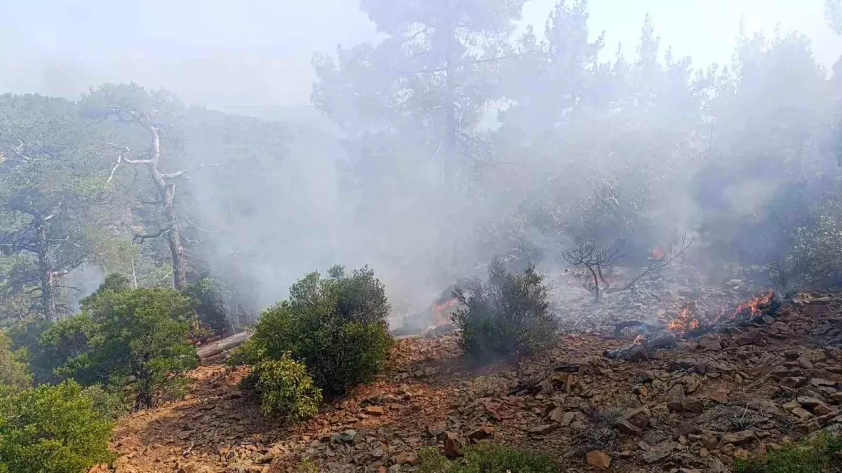 denizlide-orman-yanginina-havadan-mudahele-qZb7w5iH.jpg