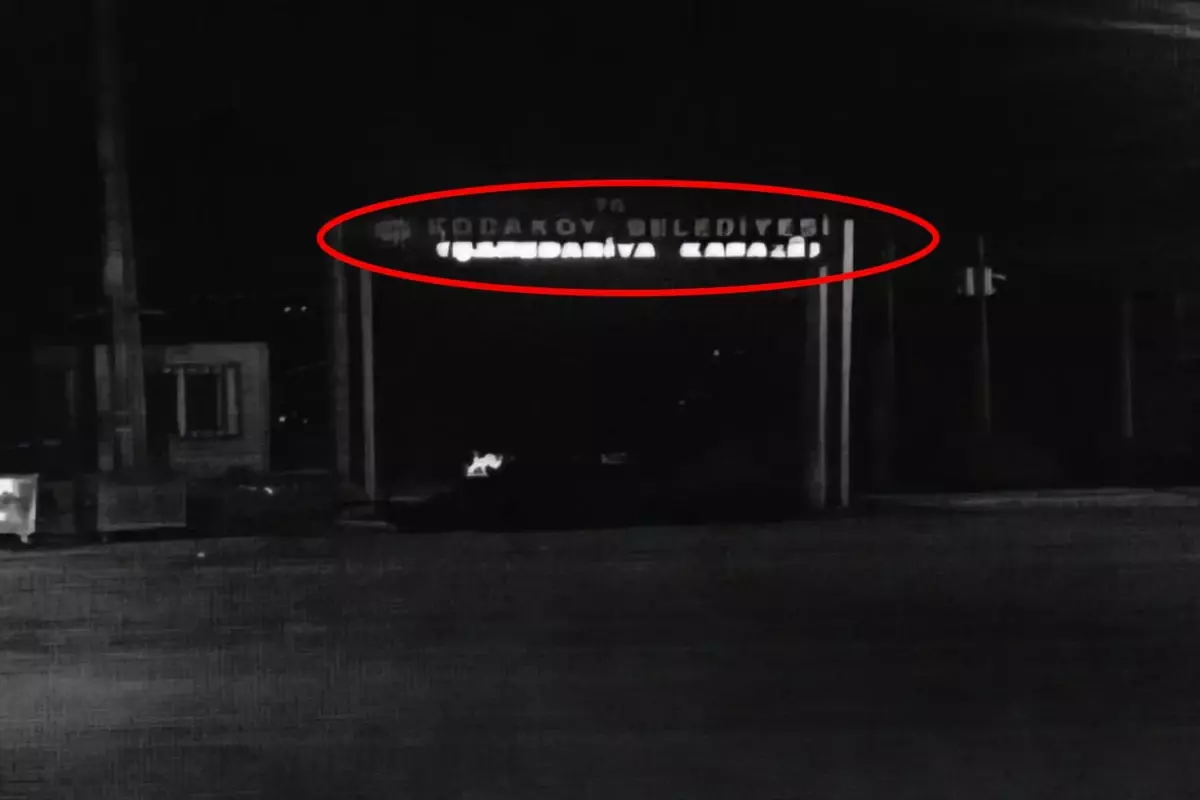 tabeladaki-turkce-kismi-karartan-belediyeye-kaymakamdan-ihtar-yazisi-p7lxVhS3.jpg