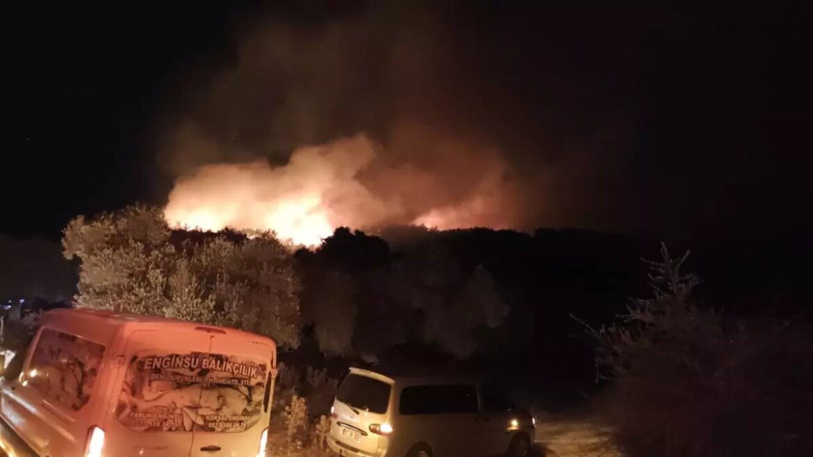 milasta-iki-noktada-orman-yangini-cikti-5wgjY71F.jpg