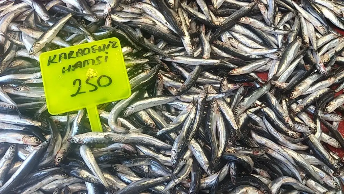 muglada-hamsi-donemi-acildi-birinci-hamsiler-250-tlden-satista-YN8Kgjmt.jpg